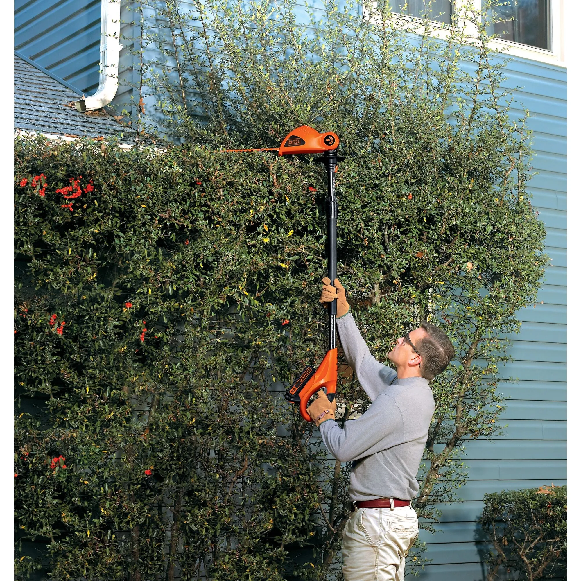 20V MAX* Cordless Pole Hedge Trimmer, 18-Inch, 1.5 Ah