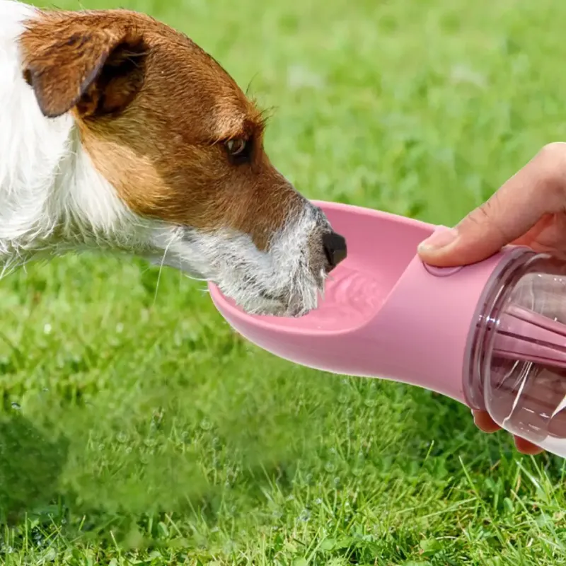 4 in 1 Multifunctional Dog Bottle