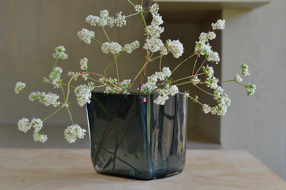 Aalto Vase Boomerang in Dark Gray