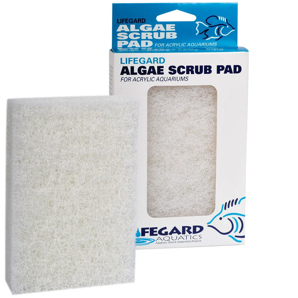 Algae Scrubbing Pads, 4" x 6", White (Fine),