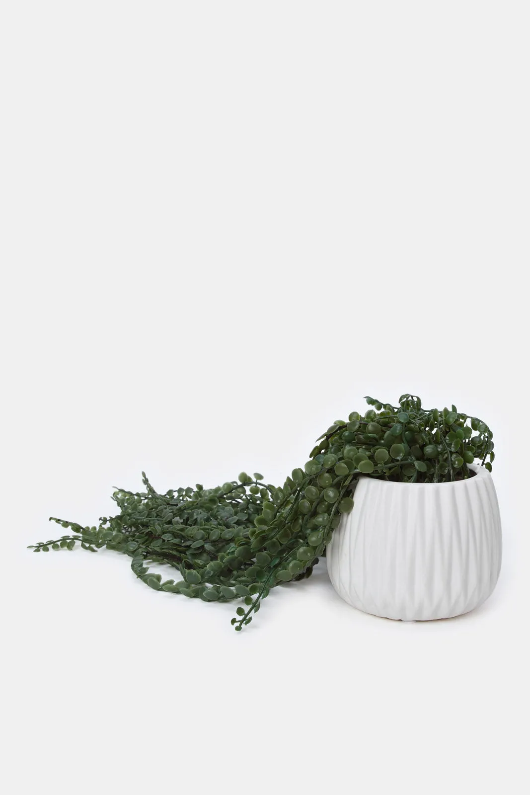 Artificial Creeper Plant In Ceramic Pot