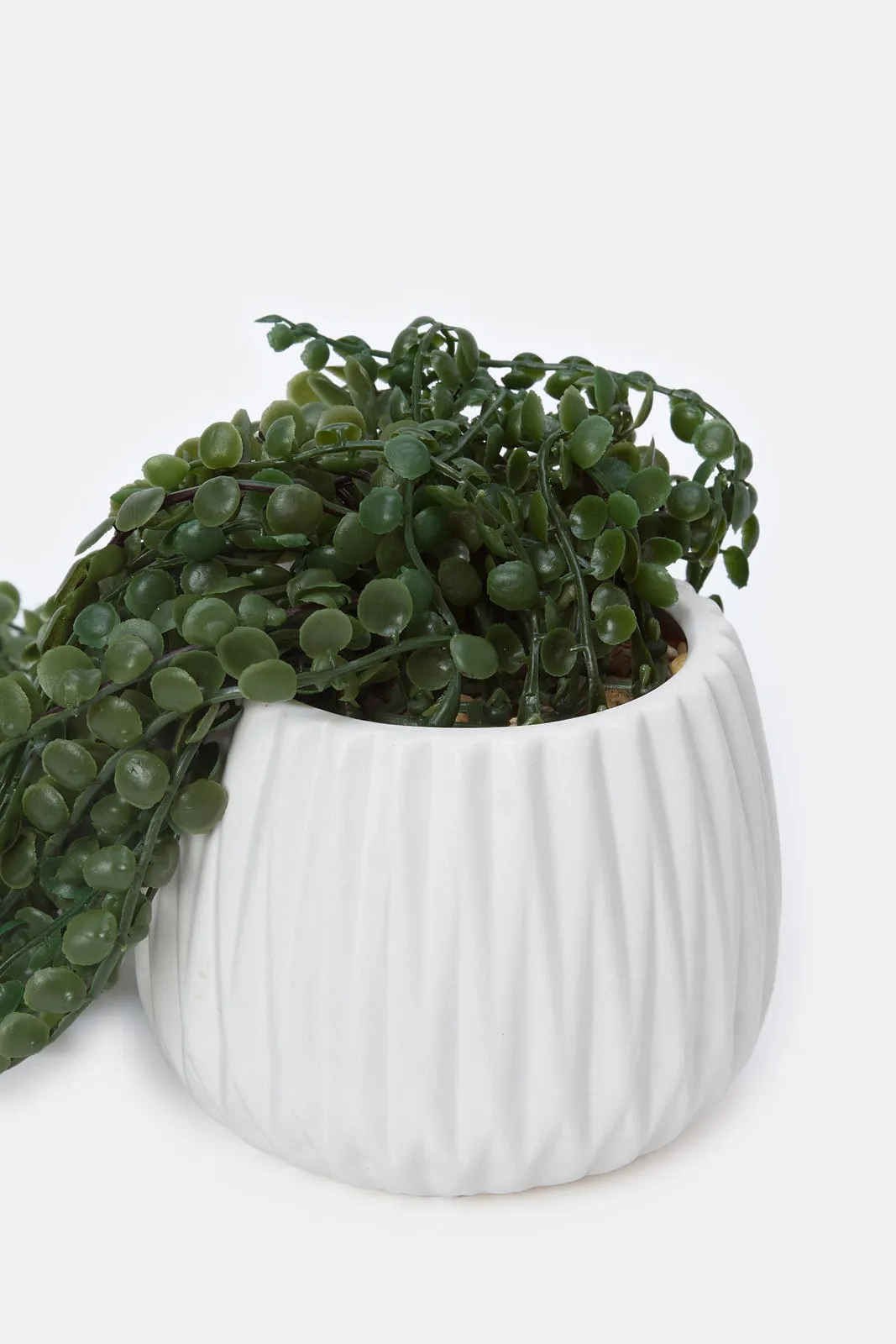 Artificial Creeper Plant In Ceramic Pot