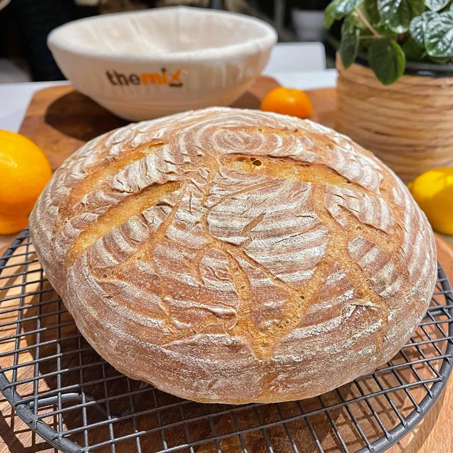 Bread Proofing Basket