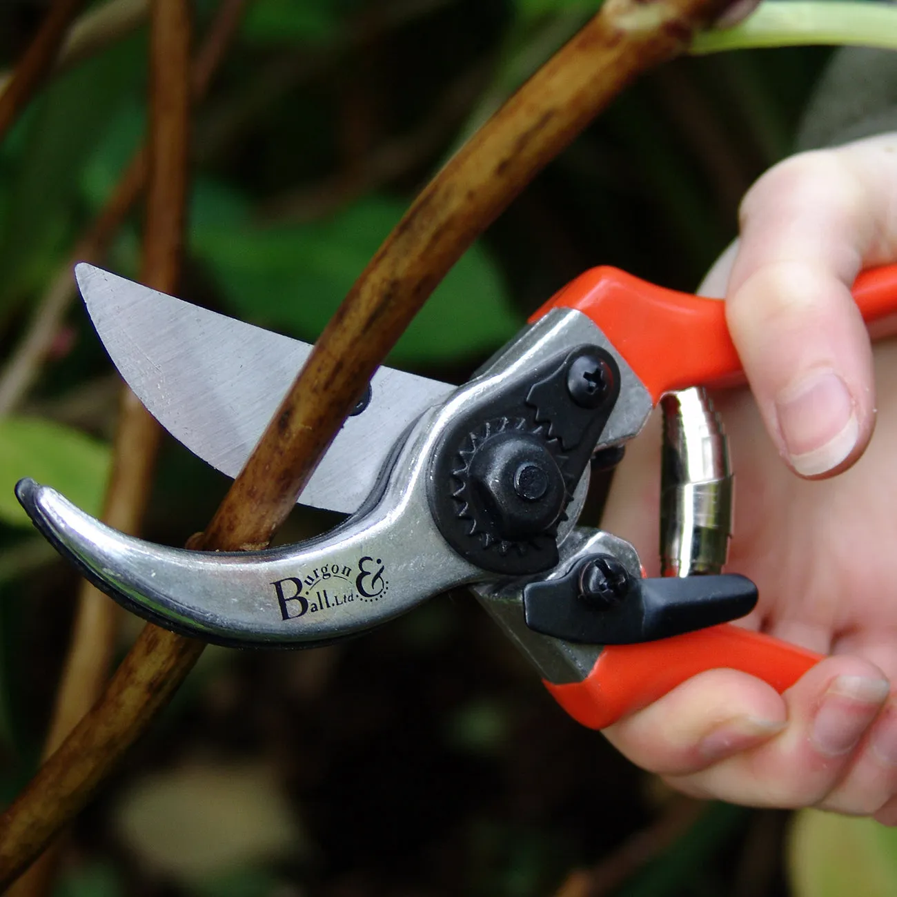 Bypass Secateurs - RHS Endorsed