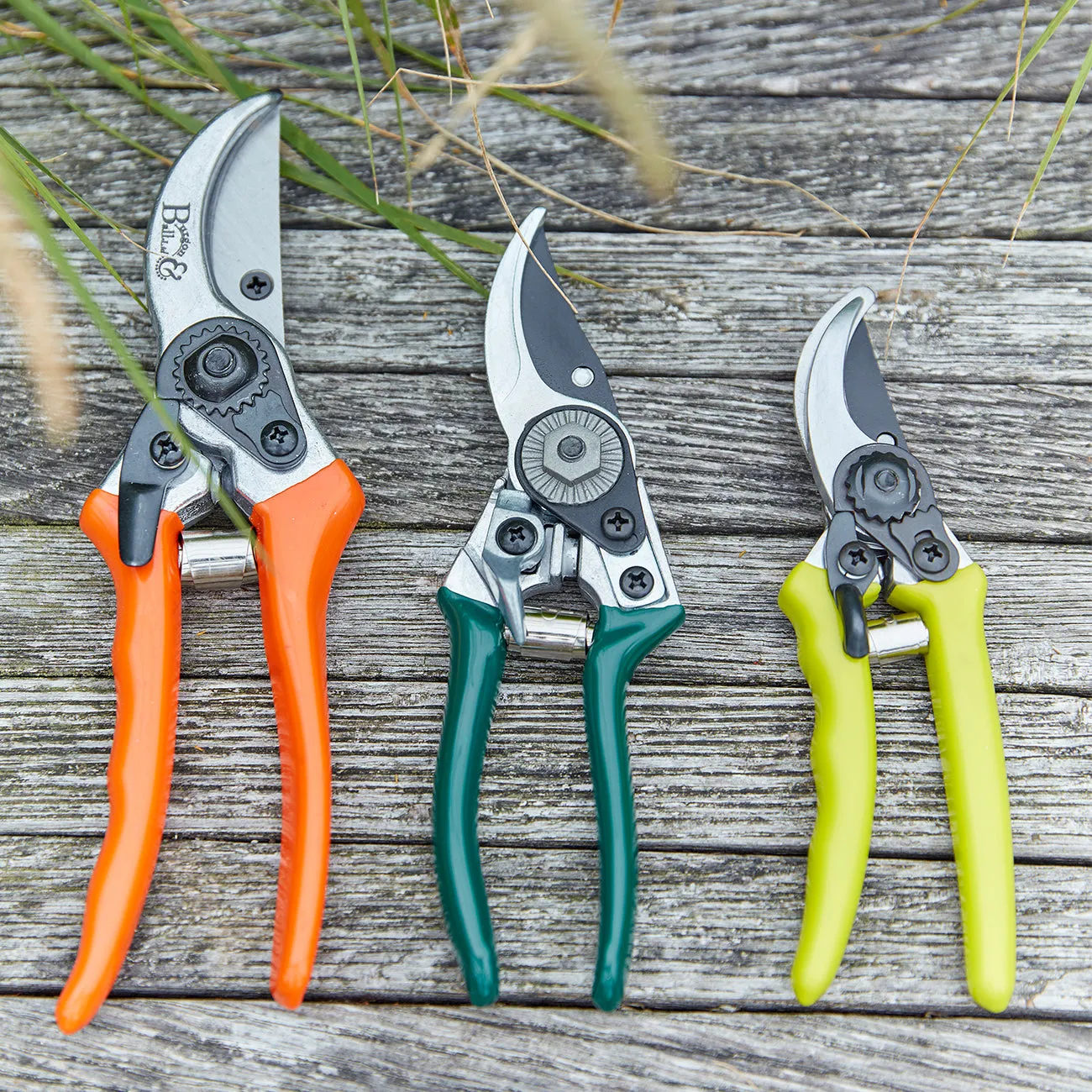 Bypass Secateurs - RHS Endorsed