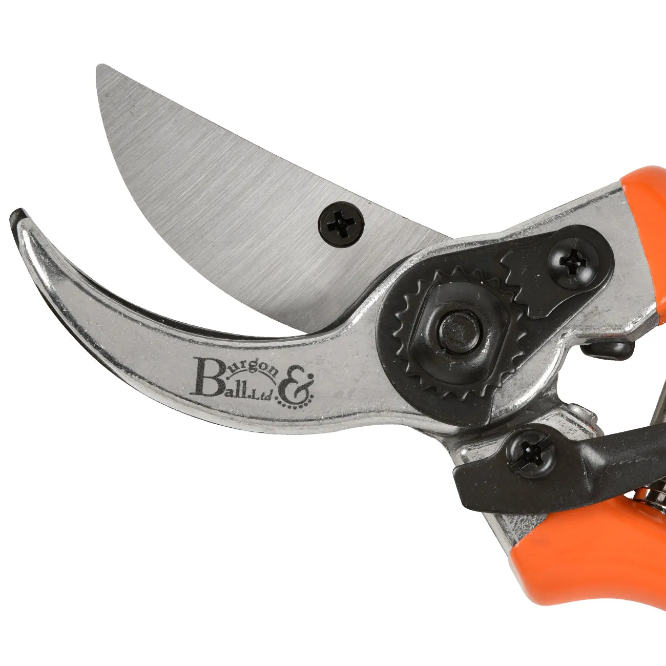 Bypass Secateurs - RHS Endorsed