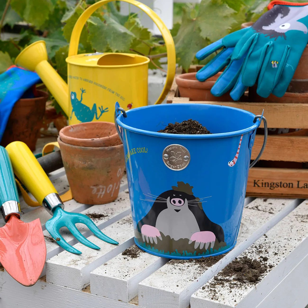 Children's Bucket - National Trust