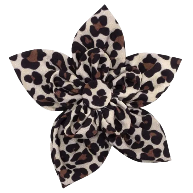 Collar Flower | Tan Leopard Print