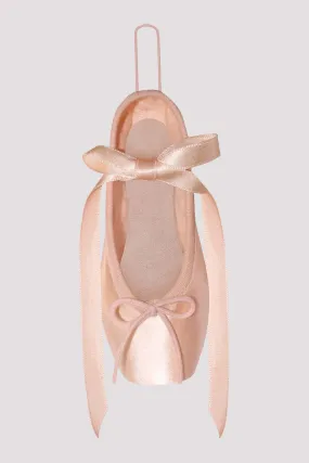 Decorative Pointe Shoe