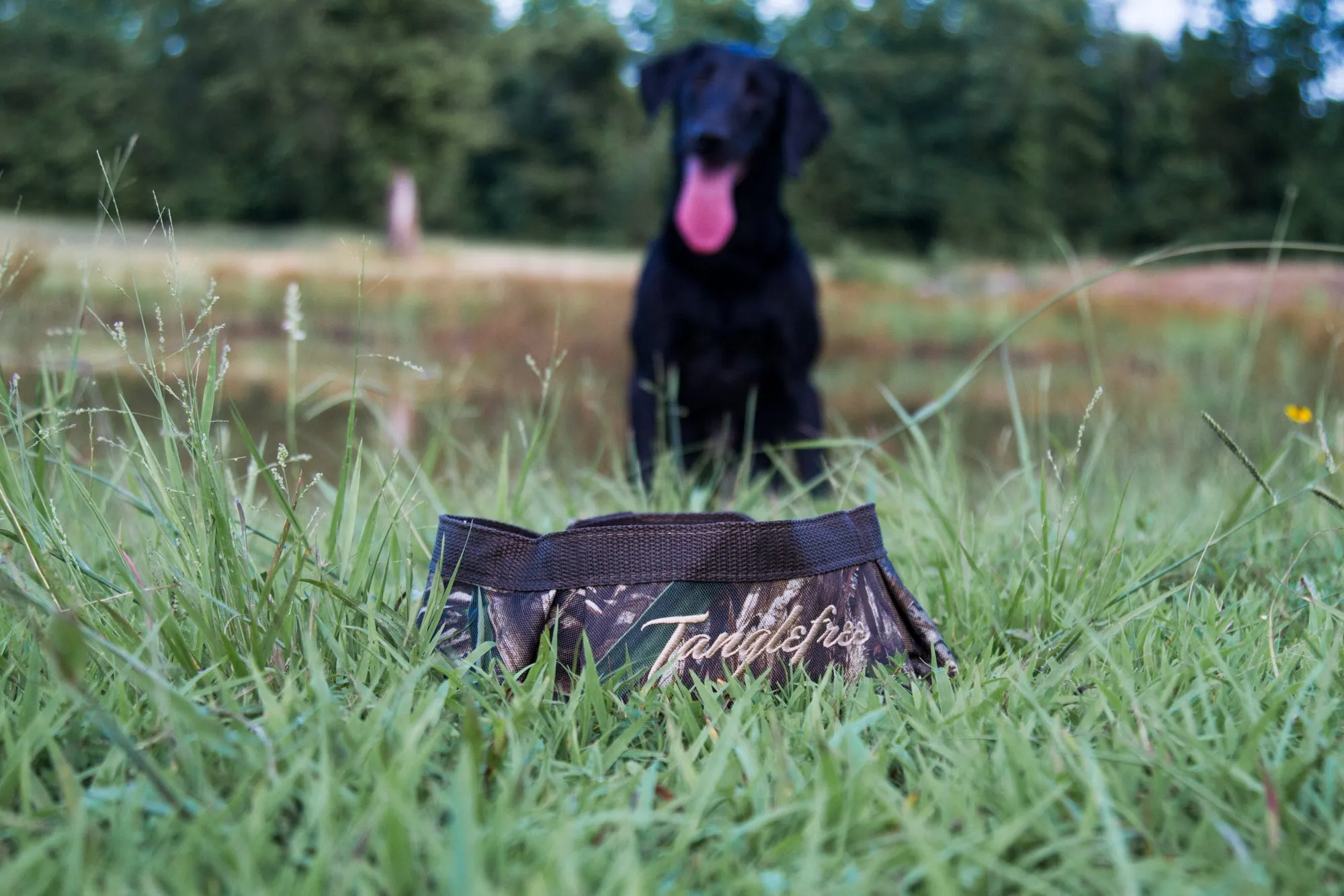 Dog Food/ Water Bowl