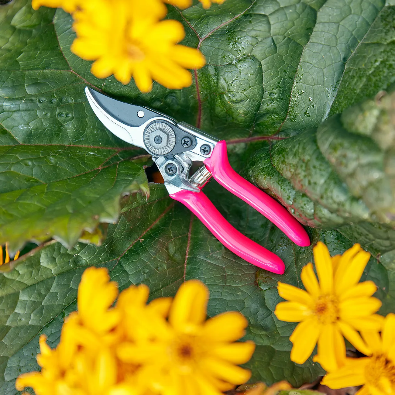 FloraBrite® Pink Pocket Pruner