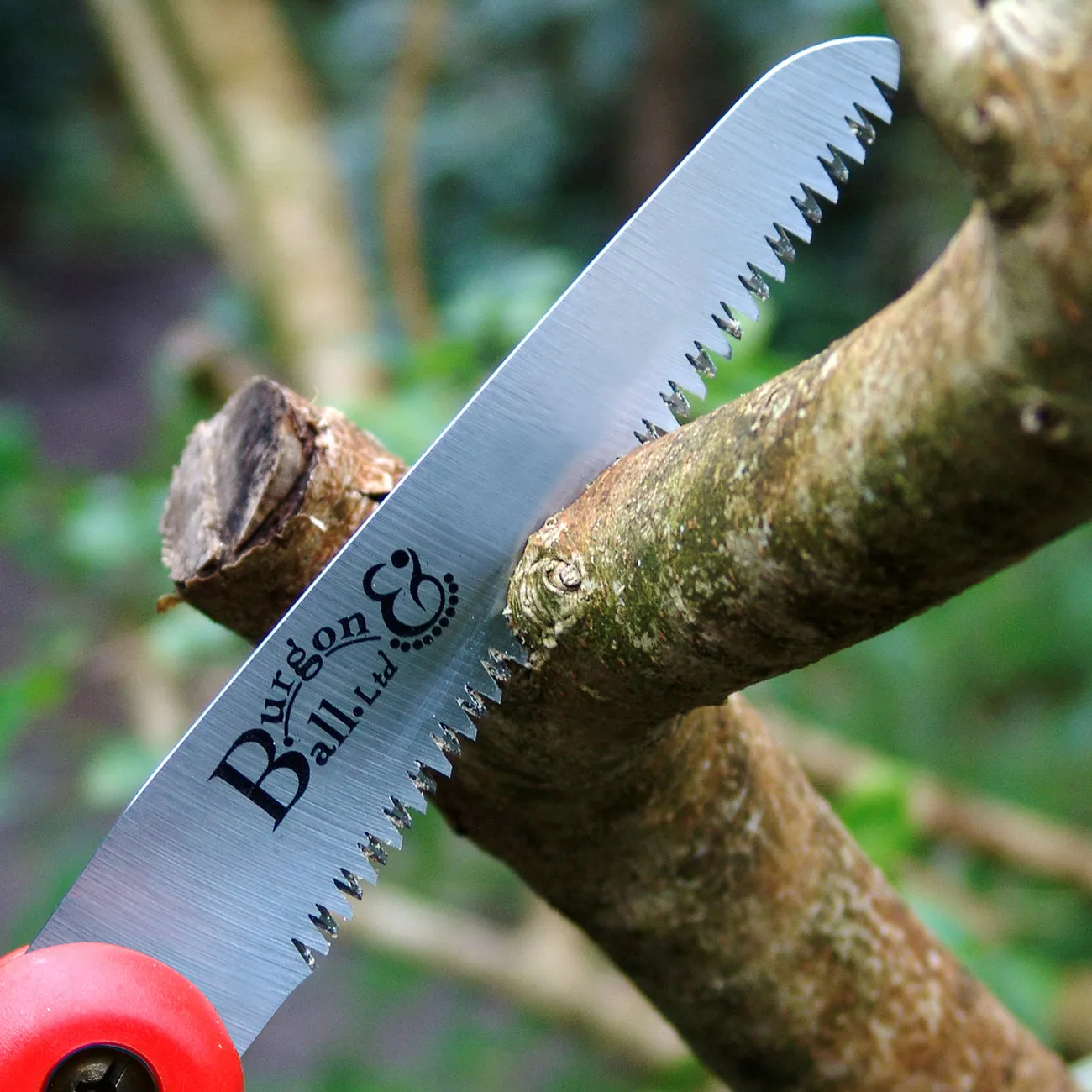 Folding Pruning Saw - RHS Endorsed