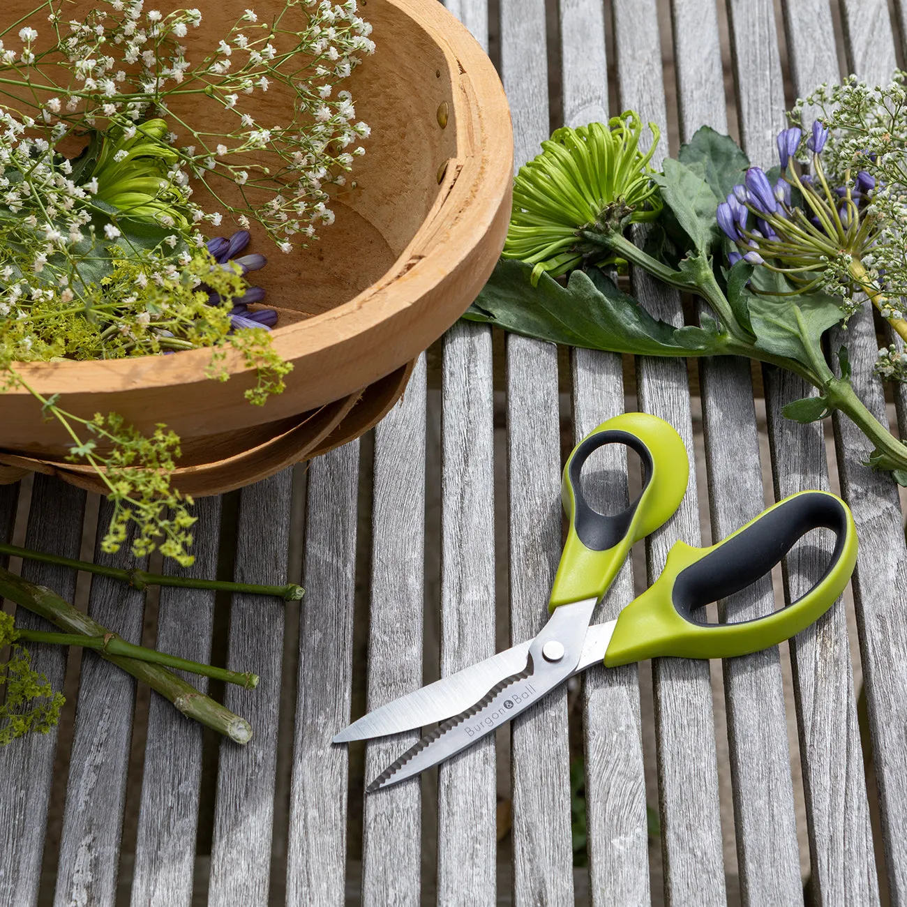 Garden and Flower Scissors – RHS Endorsed