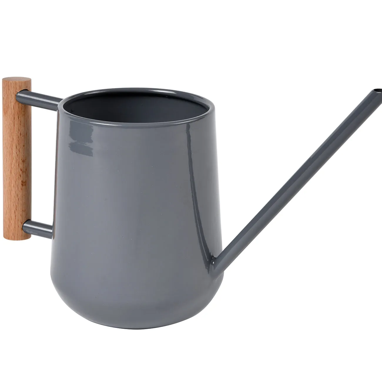 Indoor Watering Can - Charcoal