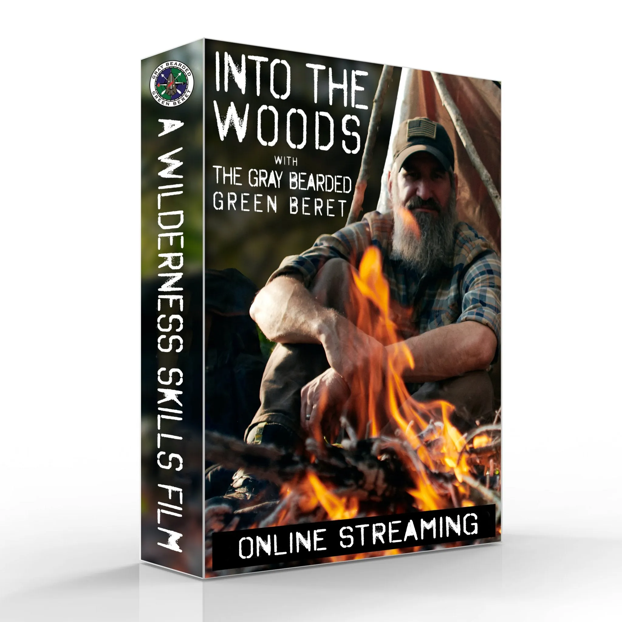 Into the Woods DVD   Free Streaming Limited Offer