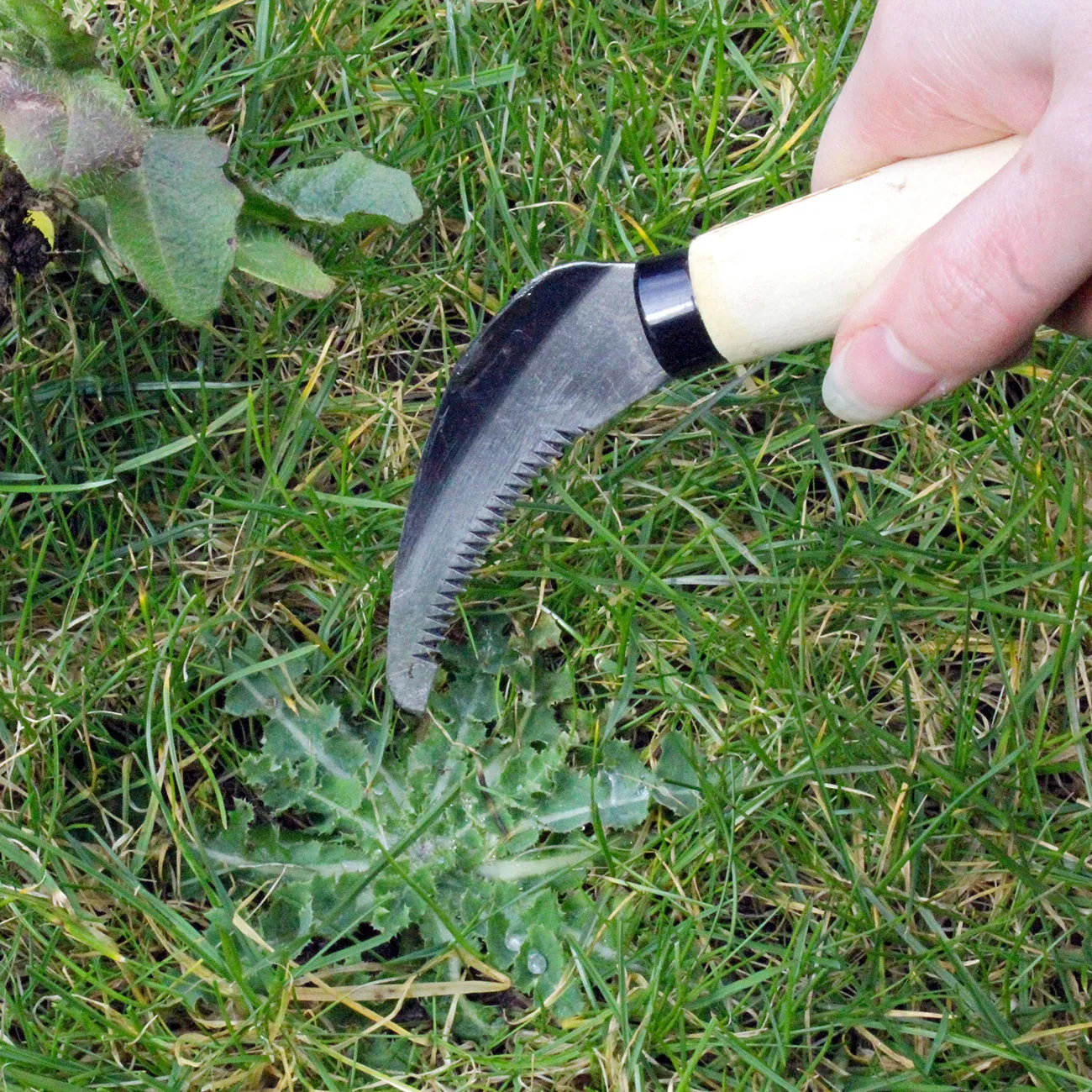 Lawn Weeding Knife