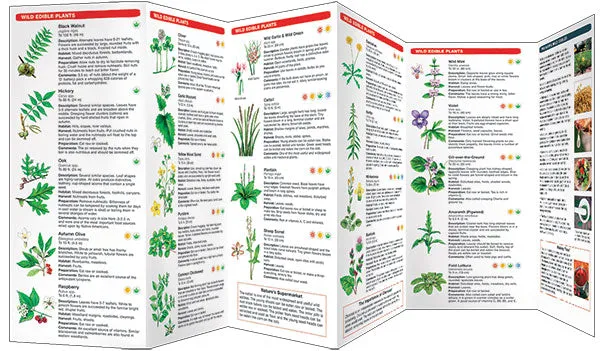 Pathfinder - Edible Plants of the Eastern Woodlands