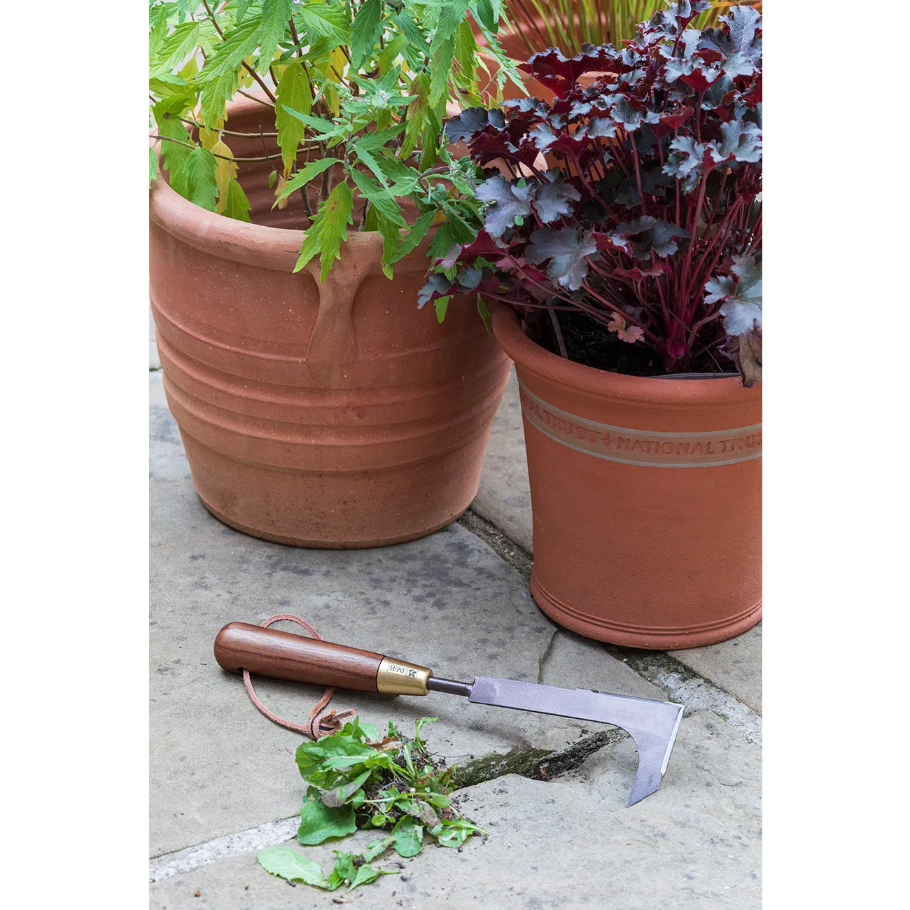 Patio Weeding Knife - National Trust