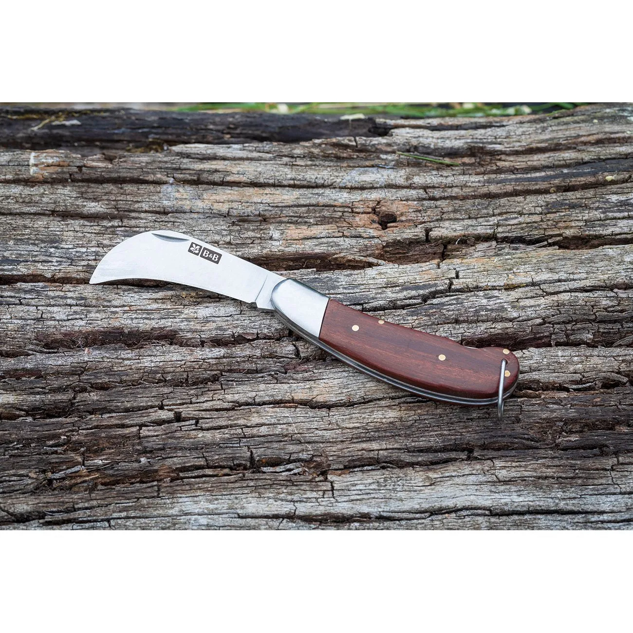 Pocket Knife - National Trust