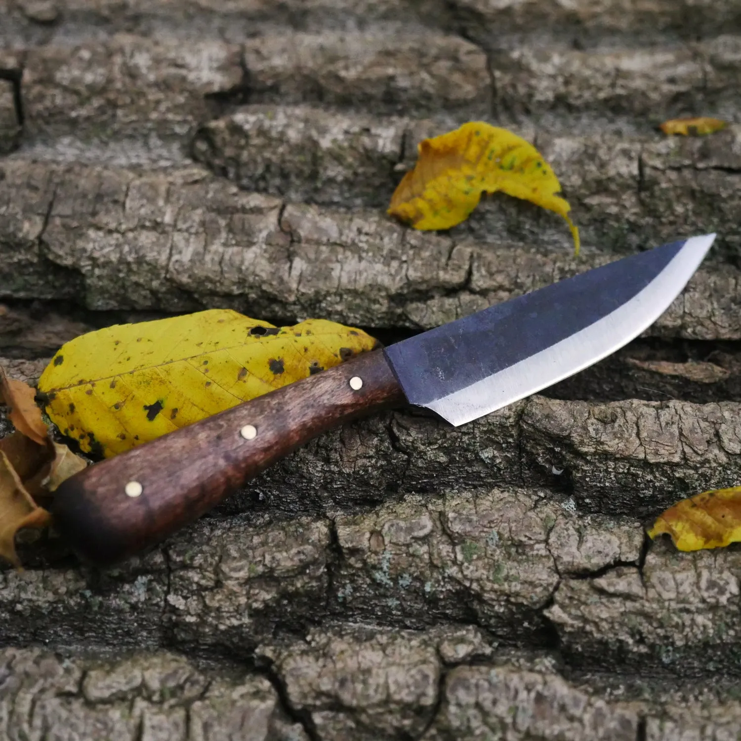 Premium Paring or Patch Knife