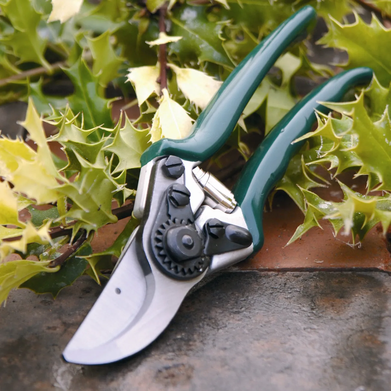 Professional Bypass Secateur