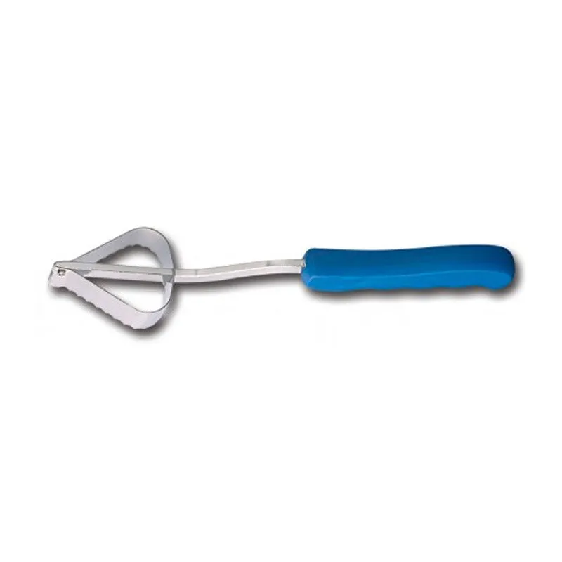 Professional Fish Scaler with Blue Handle  - FISCHER