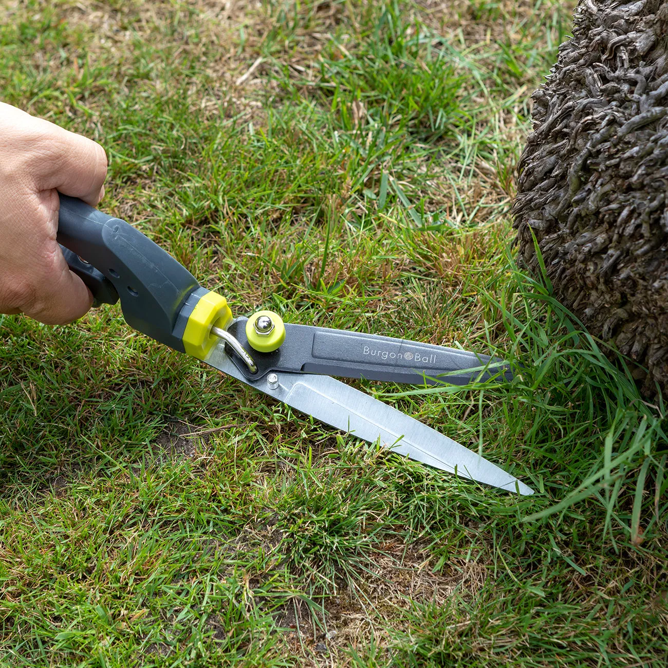 Single Handed Grass Shear – RHS Endorsed