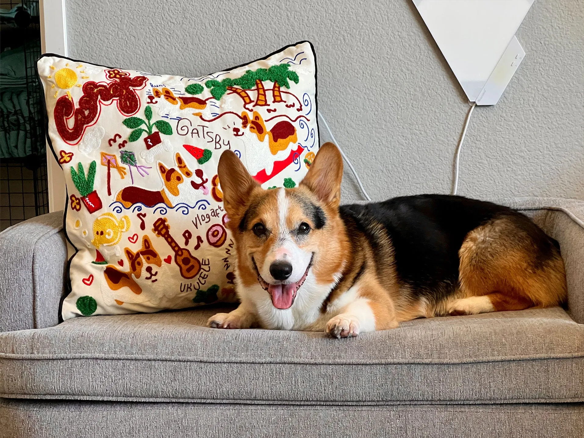 Special Corgi On Fleek XL Embroidered Cushion [Limited Edition]