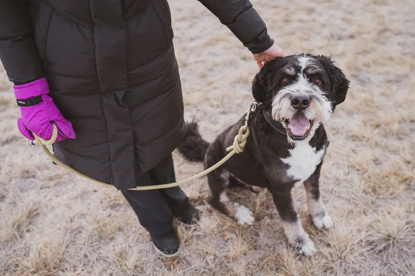 Woof! Dog Leash